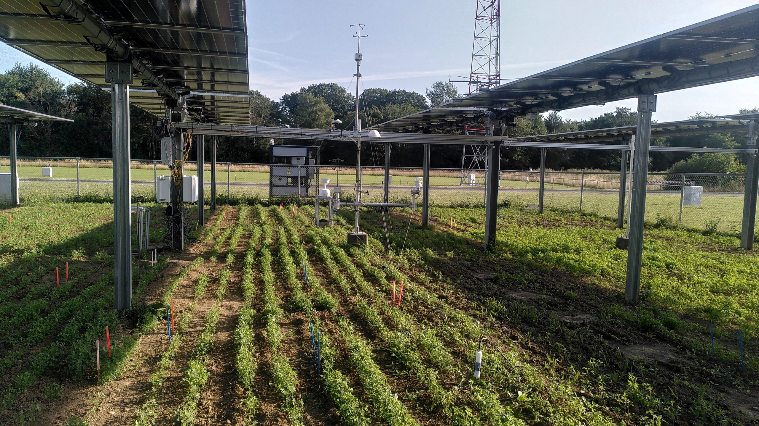  Agrivoltaïsme : concilier environnement et énergie 