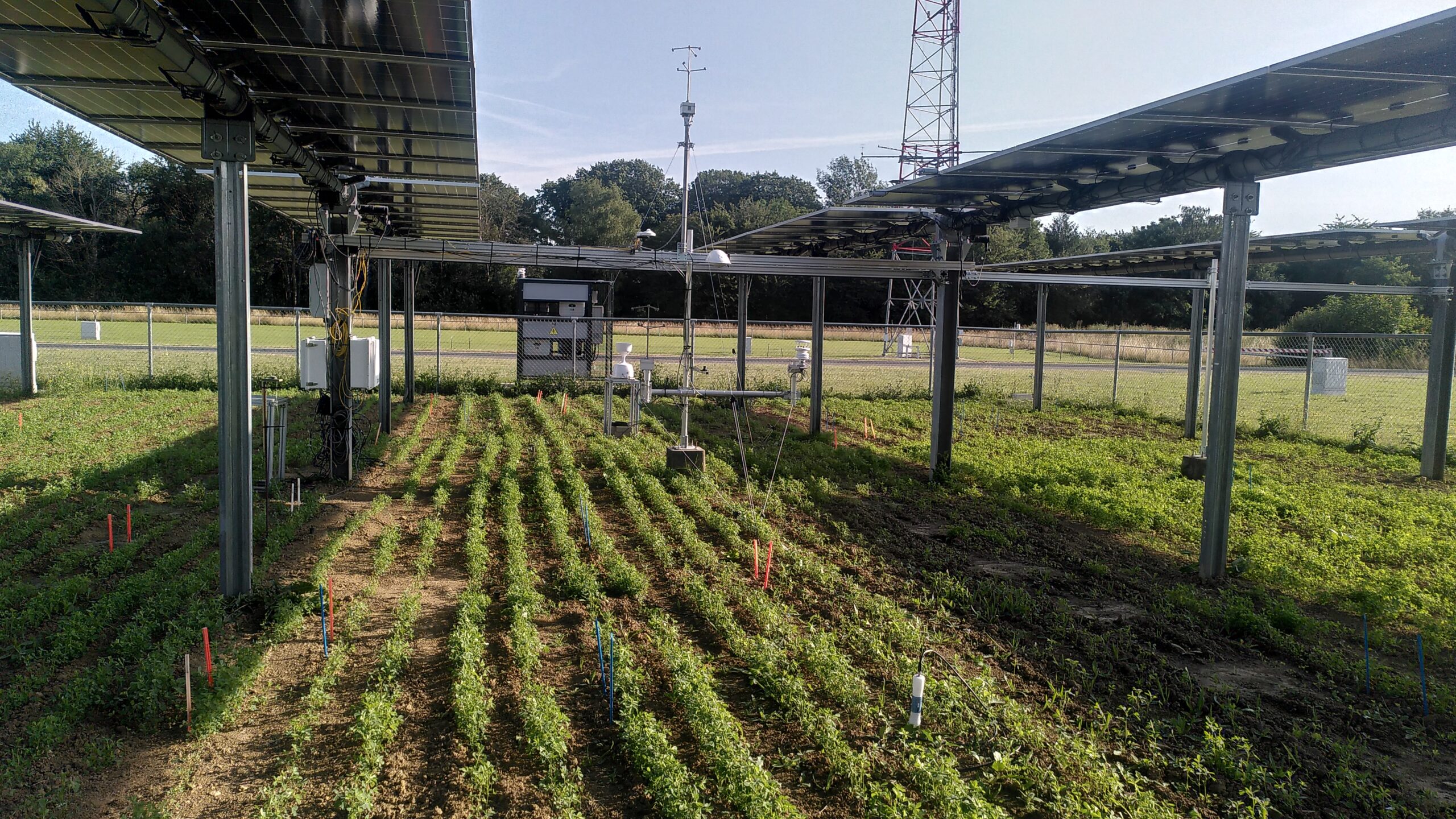  PV organique semi-transparent : une alternative prometteuse pour l&rsquo;agrivoltaïsme 